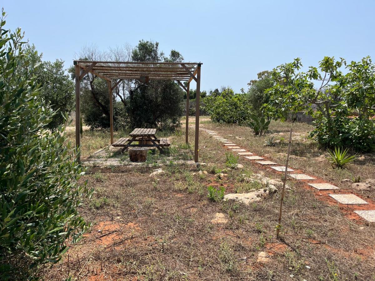 Villa Maria Torre San Giovanni Extérieur photo